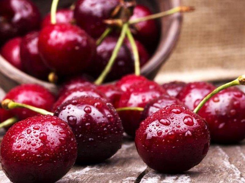 Вишня купить саженцы из питомника в Калининграде