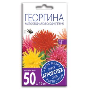 Семена Георгины "Кактусовидная" смесь (однолетник)